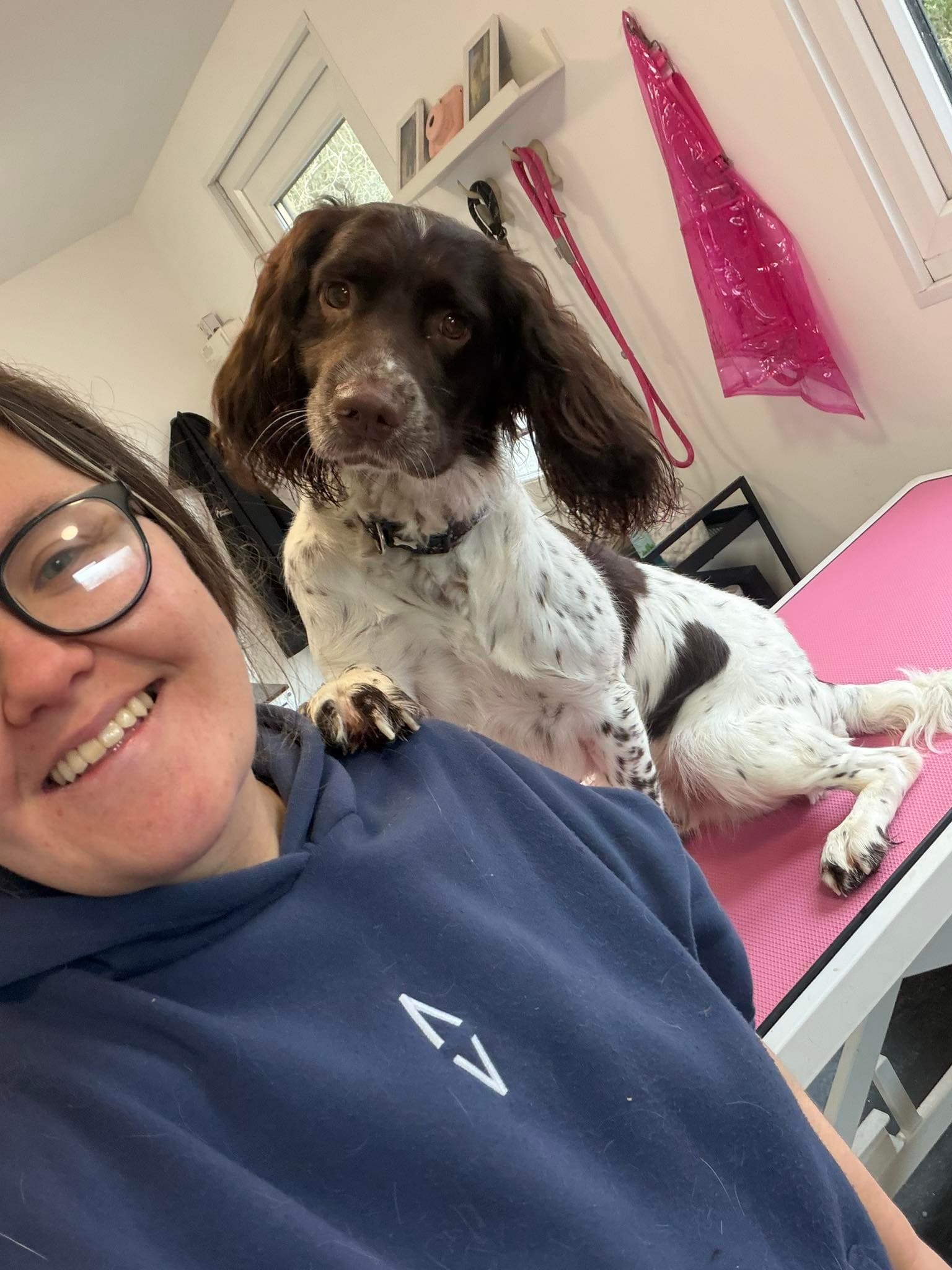 Sophie, owner of Mucky Paws Dog Grooming, with a springer spaniel on the pink grooming table at The Dog Pod